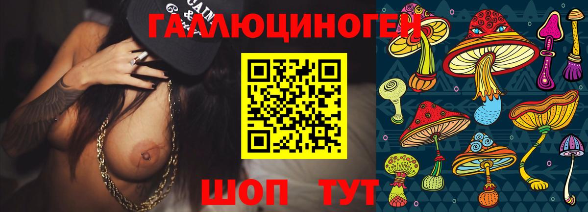 Псилоцибиновые грибы Psilocybe  Вход с VPN  Полысаево 